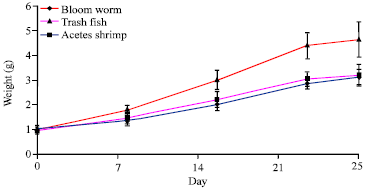 Image for - Effect of Selected Diets on the Growth and Survival of Snakehead Fish (Channa  striatus) Fry