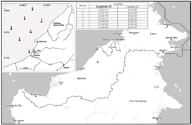 Image for - Taxonomic Composition and Abundance of Zooplankton Copepoda in the Coastal Waters of Bintulu, Sarawak, Malaysia