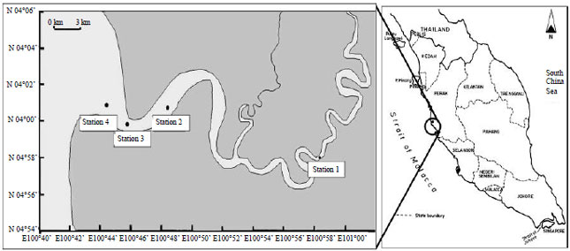 Image for - Spatial and Temporal Distribution of Phytoplankton in Perak Estuary, Malaysia, During Monsoon Season