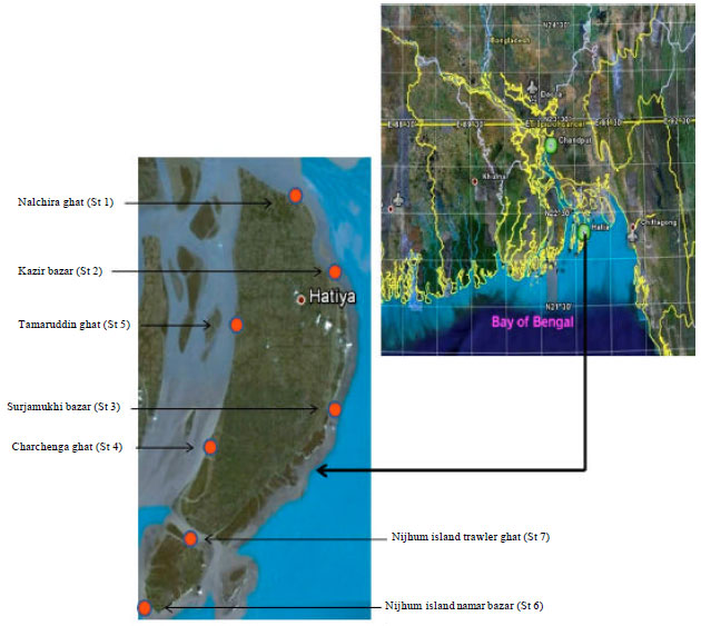 Image for - Analyses of Macrobenthos of Hatiya and Nijhum Dweep Islands at Higher Taxonomic Resolution
