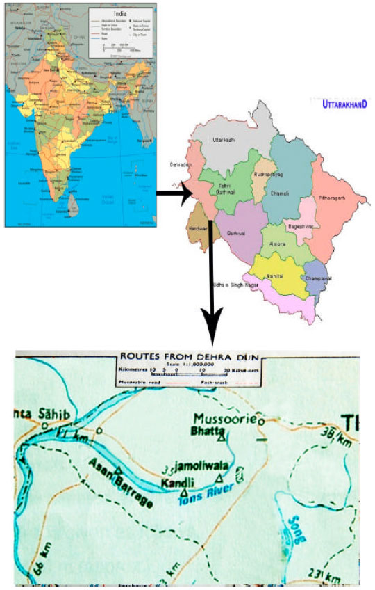 Image for - Species Diversity, Abundance and Distribution of Fish Community and Conservation Status of Tons River of Uttarakhand State, India