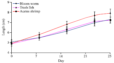 Image for - Effect of Selected Diets on the Growth and Survival of Snakehead Fish (Channa  striatus) Fry