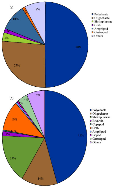 Image for - Analyses of Macrobenthos of Hatiya and Nijhum Dweep Islands at Higher Taxonomic Resolution