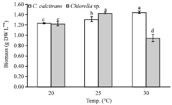 Image for - Effect of Salinity and Temperature on the Growth of Diatoms and Green Algae