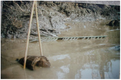 Image for - Fisheries Survey in Cross River State, Nigeria