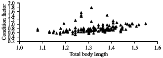 Image for - Length-weight Relationship, Condition Factor and Sex Ratio of African Mud  Catfish (Clarias gariepinus) Reared in Flow-through System Tanks