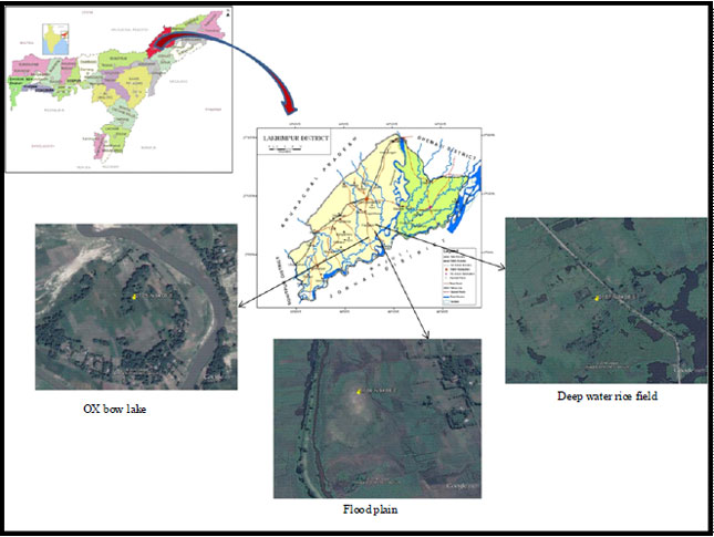 Image for - Assessment of Water Quality in Relation to Fishery Perspective in Flood Plain Wetlands of Subansiri River Basin Assam, India