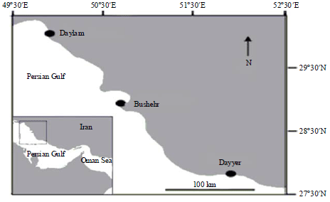 Image for - Length-Weight Relationship and Growth Parameters of Kingfish (Scomberomorus commerson) in the North of the Persian Gulf