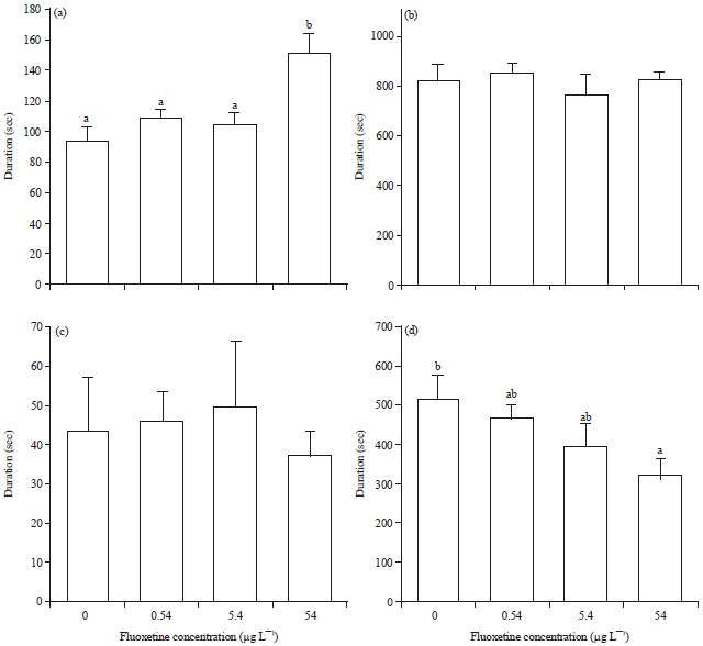 Image for - Reproduction and Behavioral Responses of Convict Cichlid, Amatitlania nigrofasciata to Fluoxetine