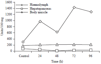 Image for - Manifestations Studies on Enzyme Profile of Vibrio parahaemolyticus MTCC451 Inoculated Black Tiger Prawn Penaeus monodon