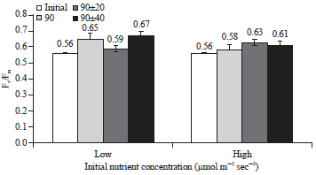 Effects Of Different Light Intensity Fluctuations On Growth Rate ...