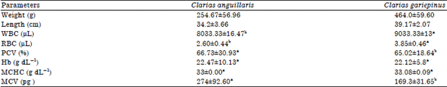 Image for - Comparison of Haematological Indices, Blood Group and Genotype of Clarias gariepinus (Burchell, 1822) and Clarias anguillaris (Linneaus, 1758)