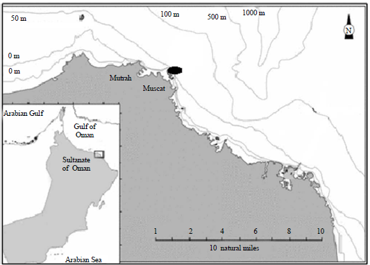 Image for - Taxonomic Composition and Seasonal Changes of Fish Larvae Assemblages in Coastal Waters of Muscat, Sea of Oman (2013-2015)