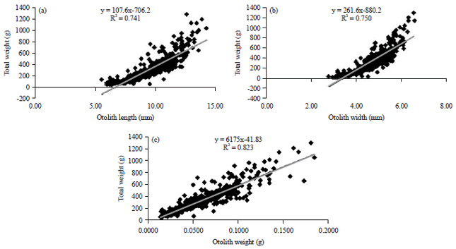 Image for - Relationship Between Otolith Measurements with the Size of Areolate Grouper, Epinephelus areolatus in Terengganu Waters, Malaysia