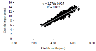 Image for - Relationship Between Otolith Measurements with the Size of Areolate Grouper, Epinephelus areolatus in Terengganu Waters, Malaysia