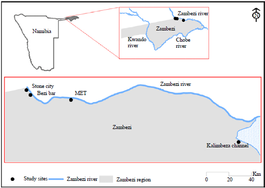 Image for - Assessment of Zambezi River Water Quality Using Macroinvertebrates Population Diversity