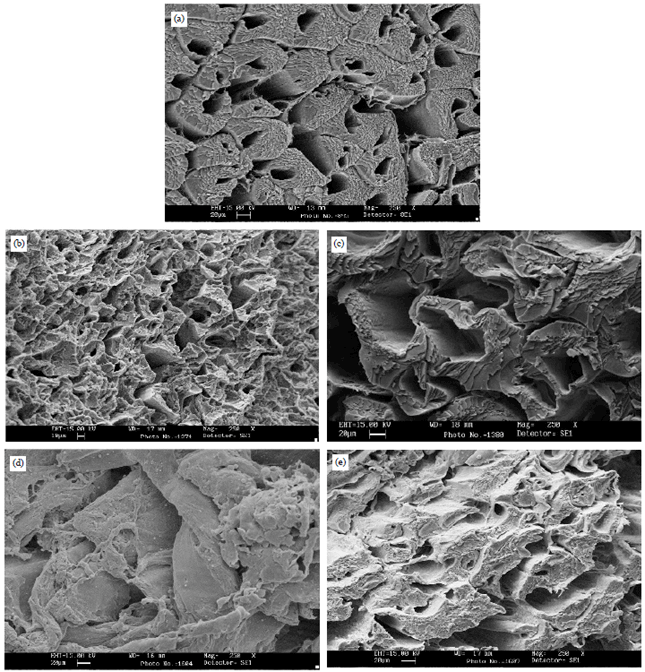 Image for - Effect of Different Freezing Processes on the Quality and Histological Changes of Red Tilapia (Oreochromis niloticus × Tilapia mosambicus)