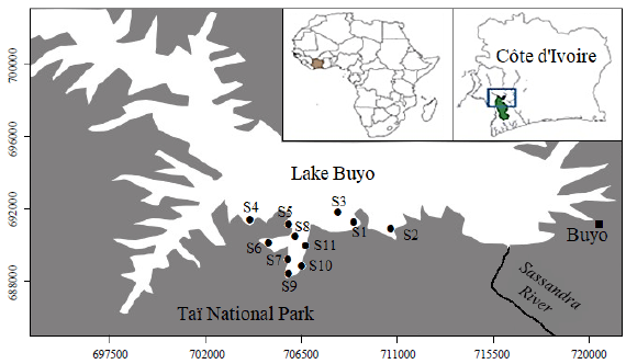 Image for - Length-Weight Relationships and Condition Factor of Twenty-Four Freshwater Fish Species from Lake Buyo, Côte D’Ivoire
