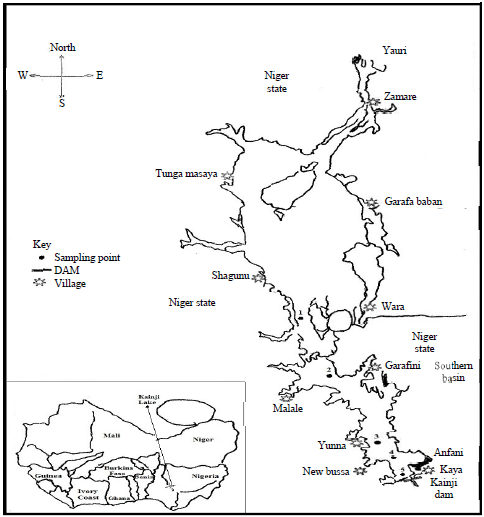 Image for - Limnological Qualities and Heavy Metal Status of Water from Southern Basin of Kainji Lake, Nigeria