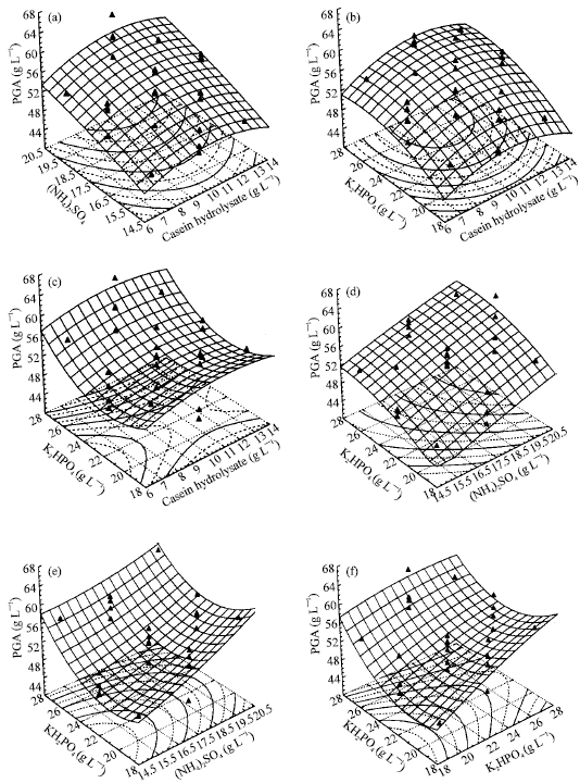 Image for - Application of Box-Behnken Design for Optimization of Poly-γ-Glutamic Acid Production by Bacillus licheniformis SAB-26