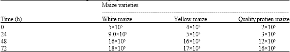 Image for - Microorganisms Associated with Ogi Traditionally Produced from Three Varieties of Maize