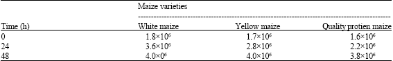 Image for - Microorganisms Associated with Ogi Traditionally Produced from Three Varieties of Maize