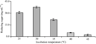 Image for - Production of Reducing Sugars by Trichoderma sp. KUPM0001 during Solid Substrate Fermentation of Sago Starch Processing Waste Hampas