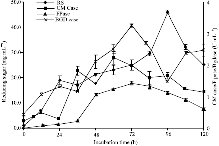 Image for - Production of Reducing Sugars by Trichoderma sp. KUPM0001 during Solid Substrate Fermentation of Sago Starch Processing Waste Hampas