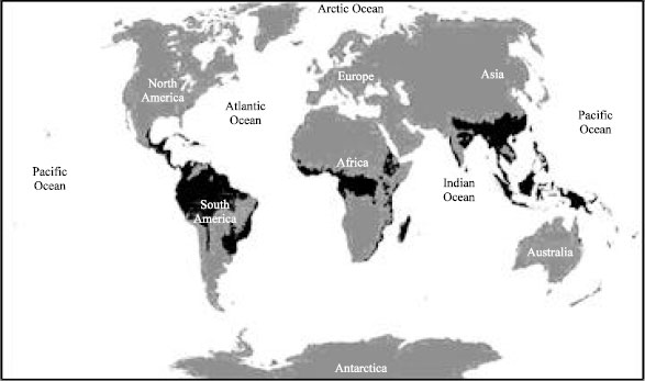 Image for - Endophytic Fungal Diversity in Tropical and Subtropical Plants