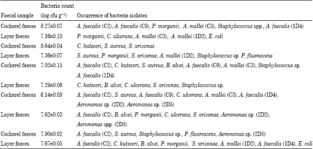 Image for - Antibiotic Resistance of Aerobic Mesophilic Bacteria Isolated from Poultry Faeces