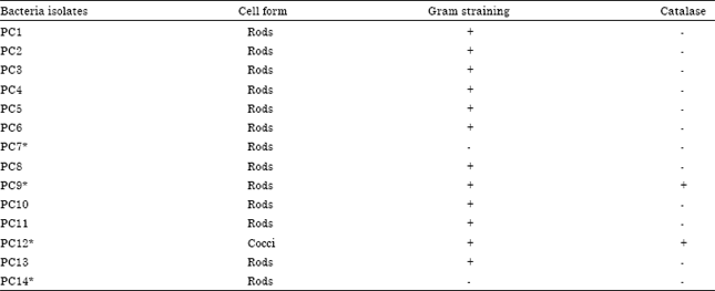 Image for - Antibiotic Resistance of Lactic Acid Bacteria Isolated from a Fermented Fish Product, Pla-chom