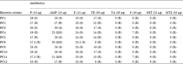 Image for - Antibiotic Resistance of Lactic Acid Bacteria Isolated from a Fermented Fish Product, Pla-chom