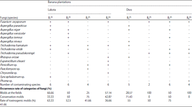Image for - Cropping Practices and Fungal Contamination in Banana Plantations in Côte d’Ivoire