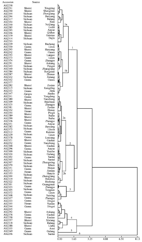 Image for - Evaluation of Grain Protein Content in Triticum turgidum ssp. turgidum Landraces from Southwest China