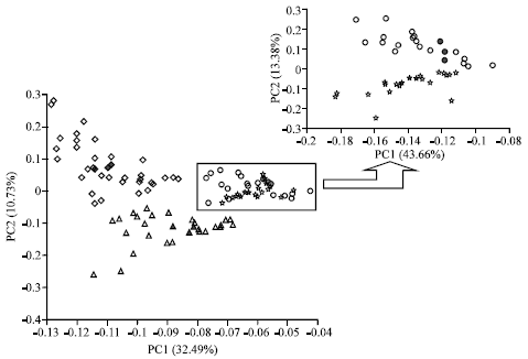 Image for - HSSPME-GC/MS Study of the Aroma Volatiles of Allium species and Chemometric Interpretation for the Aroma Characteristics