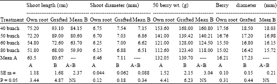 Image for - Yield and Quality in Relation to Different Crop Loads on Tas-A-Ganesh Table Grapes (Vitis vnifera L.)