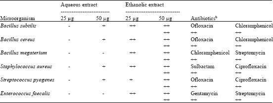 Image for - In vitro Antibacterial and Antifungal Activities of Ethanolic Extract of Aloe vera Leaf Gel