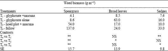 Image for - Suppression of Imperata cylindrica (Speargrass) and Changes in Weed Flora in Yam and Cassava Fields