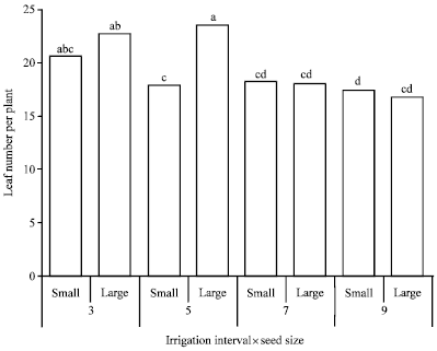 Image for - Response of Garlic (Allium sativum L.) To Irrigation Interval and Clove Size in Semi-Arid, Nigeria