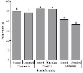 Image for - Yield of Tomato as Influenced by Training and Pruning in the Sudan Savanna of Nigeria