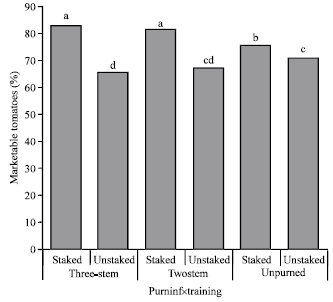 Image for - Yield of Tomato as Influenced by Training and Pruning in the Sudan Savanna of Nigeria