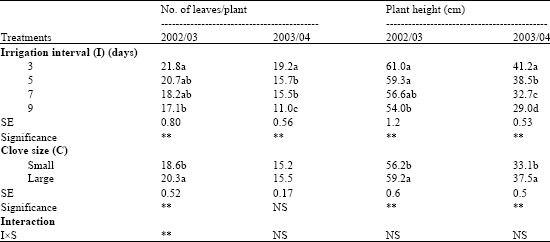 Image for - Response of Garlic (Allium sativum L.) To Irrigation Interval and Clove Size in Semi-Arid, Nigeria