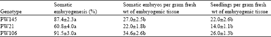 Image for - 24-epiBrassinolide Induces Somatic Embryogenesis in Pinus wallichiana A. B. Jacks