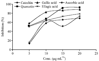 Image for - Antioxidant Activity of Isolated Phytoconstituents from Casuarina equisetifolia Frost (Casuarinaceae)