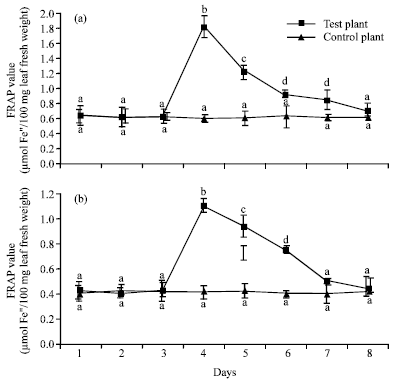 Image for - Anti-Oxidation Profile in the Leaves of Maize Inbreds: Elevation in the Activity of Phenylalanine Ammonia Lyase under Drought Stress