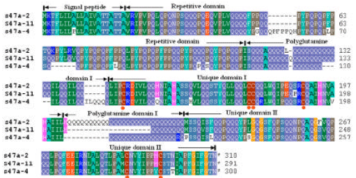 Image for - Isolation and Sequences Analysis of the α-gliadin Genes from Aegilops sharonensis