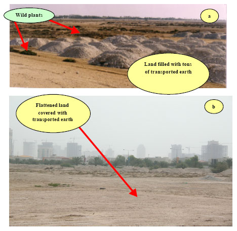 Image for - Urban Development Threatening Wild Plants in Doha City-Qatar: Ecophysiology is a Prerequisite for Ecological Restoration