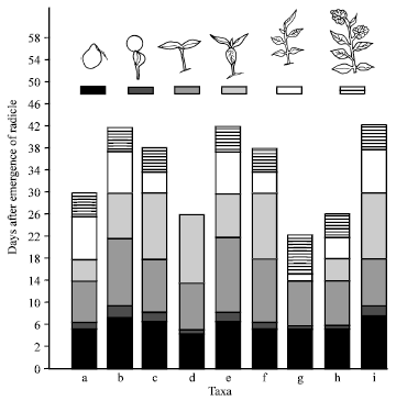 Image for - The Germination Biology and Pattern of Growth in Eight Solanum species Found Endemic in Nigeria
