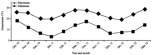 Image for - Phenology and Yield of Coriander (Coriandrum sativum L.) at Different Sowing Dates