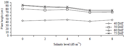 Image for - Response of Tomato Plant Under Salt Stress: Role of Exogenous Calcium
